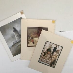 Three 11 x 14 matted prints